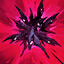 Naafiri W Skill