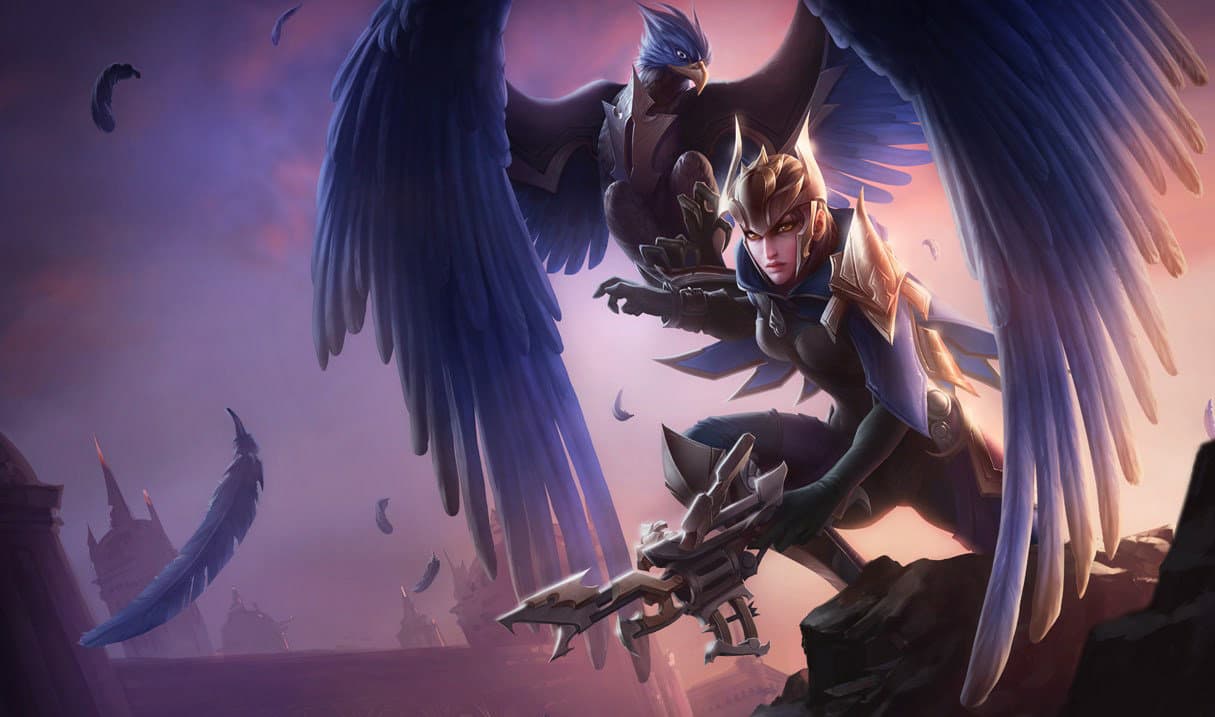 Quinn Splash